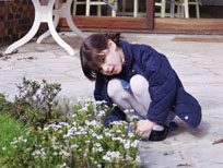 [photo of
Daphne in our garden at home]