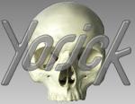 yorick banner