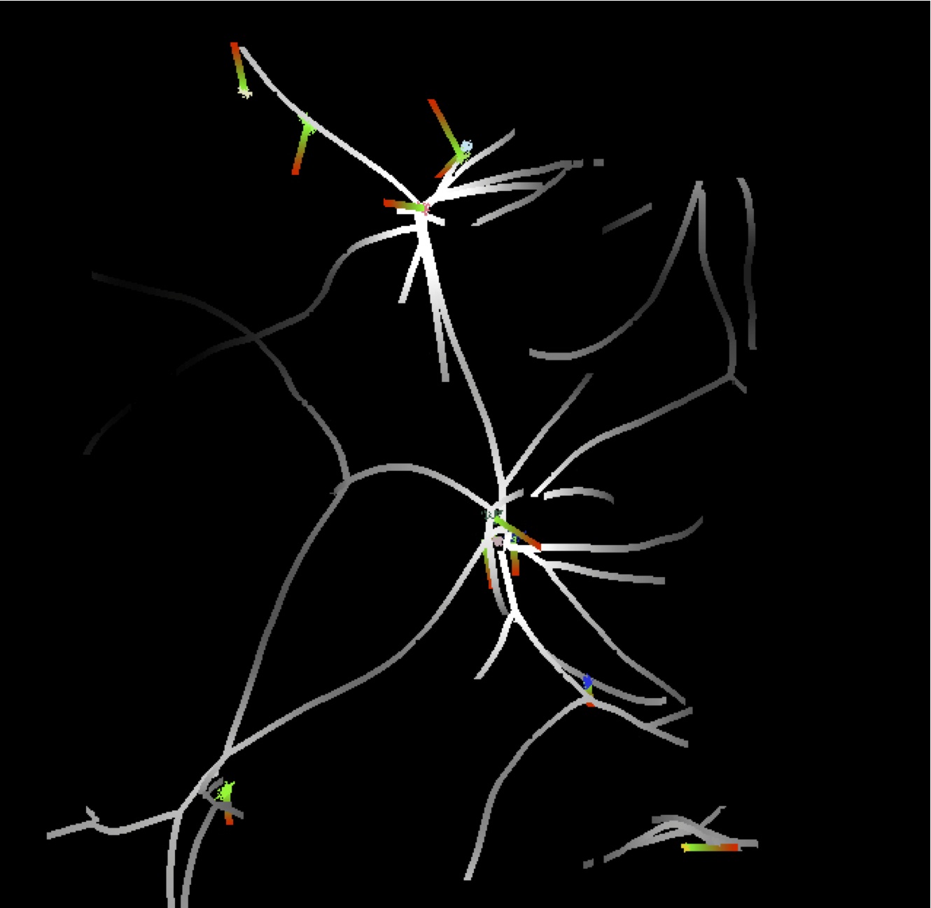 spin relative to skeleton