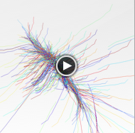 spin at different epochs